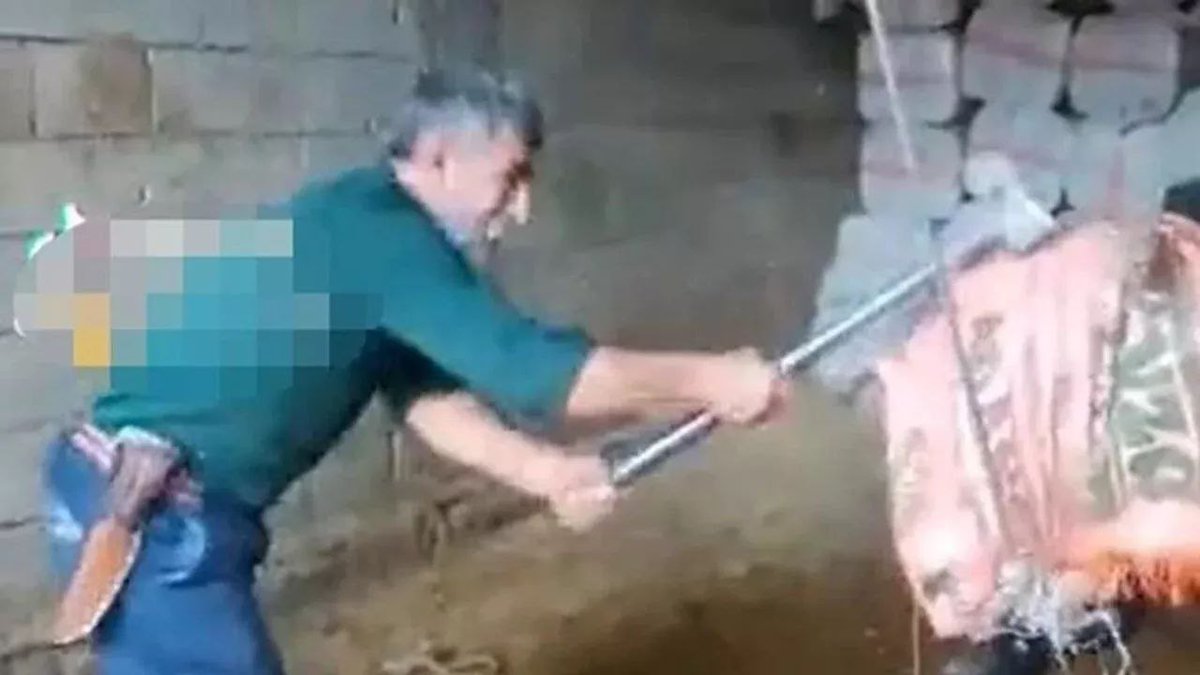 Bu aşağılık yaratık kodese tıkılmazsa,konu komşusu bile tehlikede demektir. Hayvanın kafasına vura vura öldüren biri normal olamaz. Sokakta dolaşması bulunduğu şehir için bile tehlikelidir..