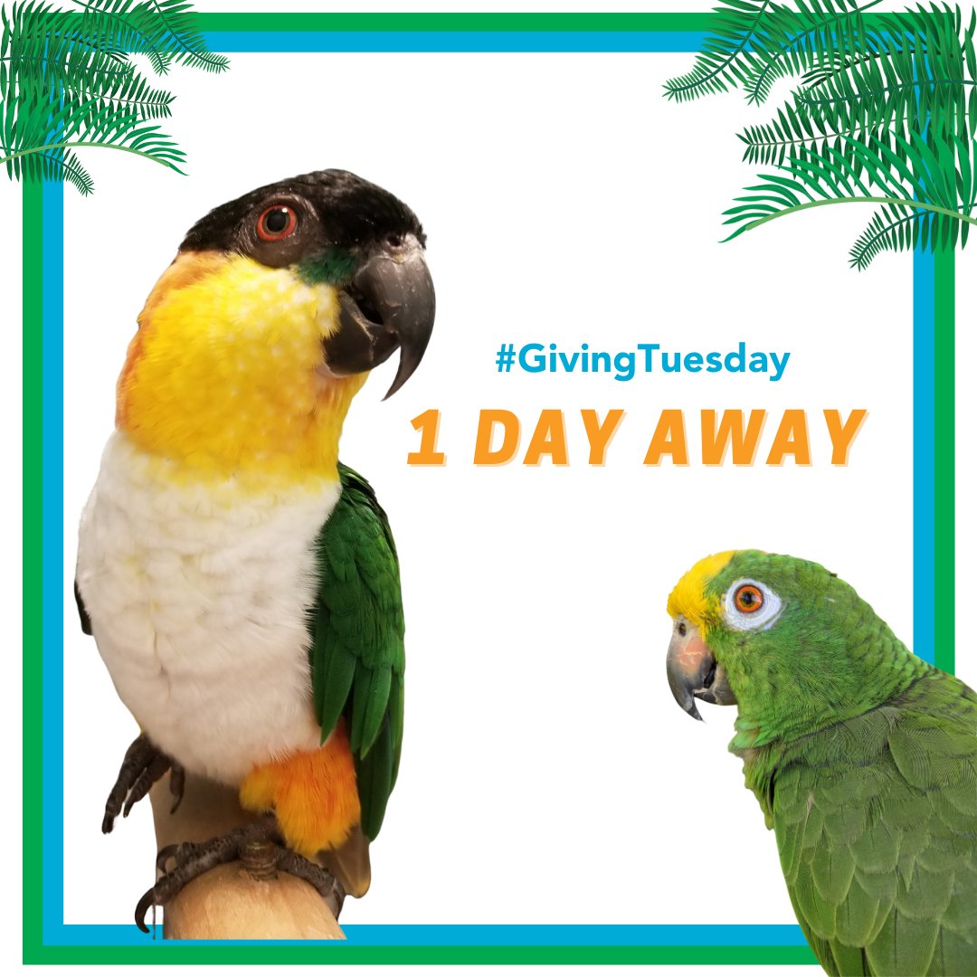 Parrot Partners Canada tweet media