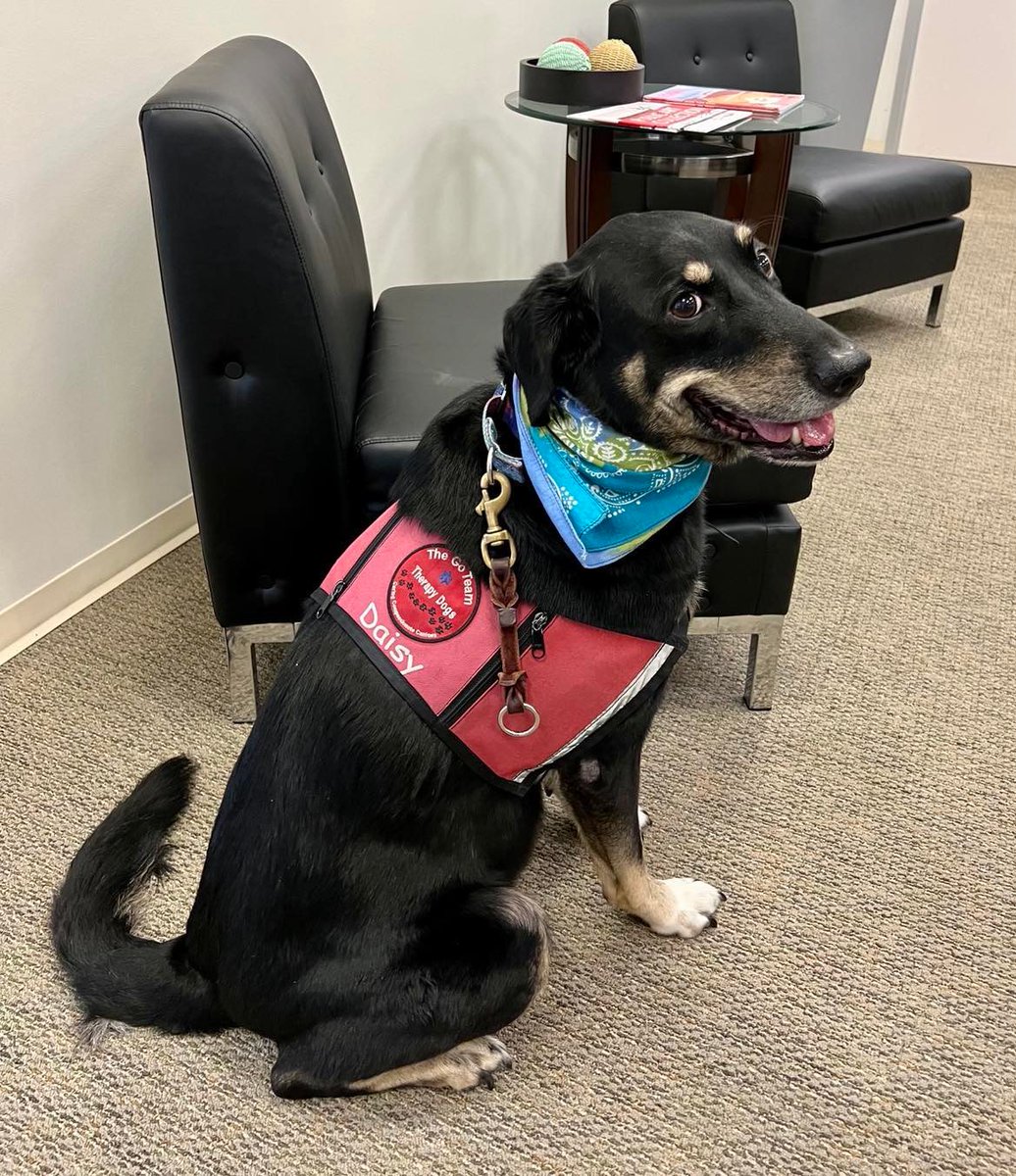 flyccia's tweet photo. During #Thanksgiving travels at #CCIA, @GoTeamTherapyD volunteers comforted travelers, and K9 Hera and Deputy Gonzales from @NuecesCoSO offered protection during the busy travels! ❤️🐕 

#thankyou #flyccia #holidays #travel #airport #flight #aviation #corpuschristi #southtexas https://t.co/zufu3Rb6ia