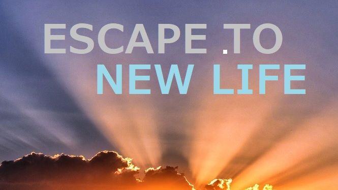 Escape & Live tweet media
