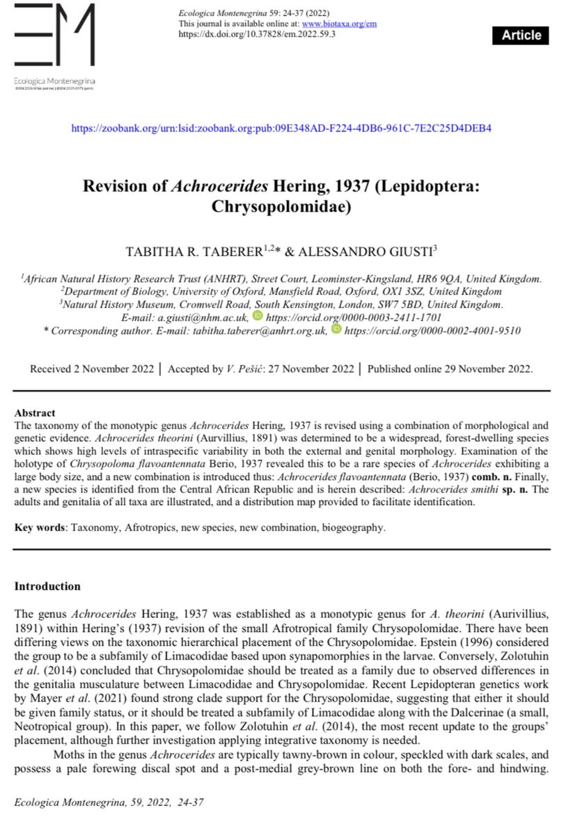 tabby_taberer's tweet photo. So excited to announce that my new taxonomic revision paper is out! 🦋 https://t.co/16NTXQRt6w https://t.co/KNFGEhqY3X