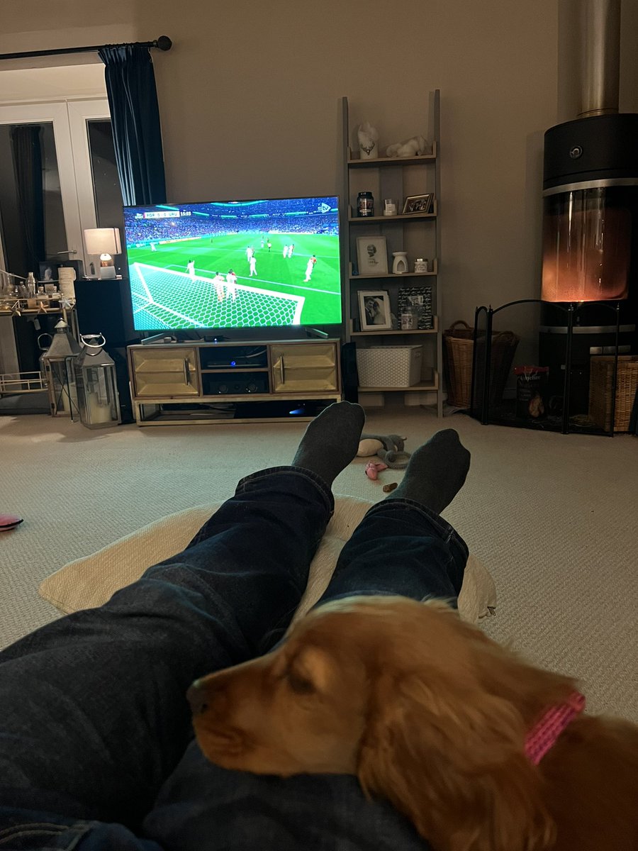 Brendan W tweet media