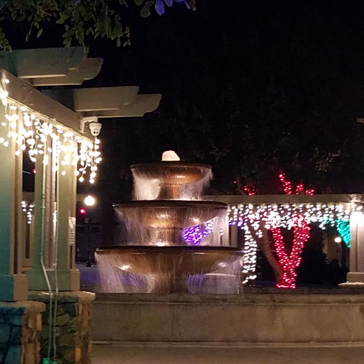 SEMSEagles's tweet image. #SanElijoMS NEWS
11/30: Wear College Colors
- #OneBookOneSanDiego in #SEMSLibrary
@ lunches
- @BandSEMS Poinsettia distribution 1:40-3p &amp;amp; 5:30-7:30p
12/1: Pretzels with ASB Presidents @ lunches
12/2: Wear Respect the Nest shirts! #SEMS Spirit!
- San Elijo Hills Tree Lighting 6p