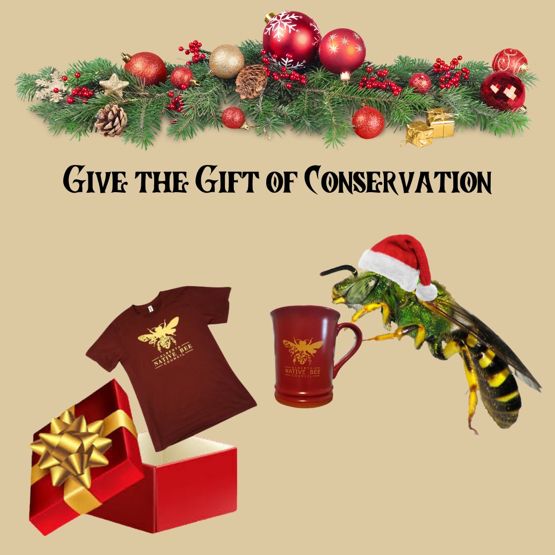 ABNativeBees's tweet photo. Today is the last day to order your Alberta Native Bee Council swag in time for Christmas! Visit our online store to make your purchases now, and support the conservation of native bees in Alberta.

https://t.co/miBc0oHtnG https://t.co/dAprZEtCR3