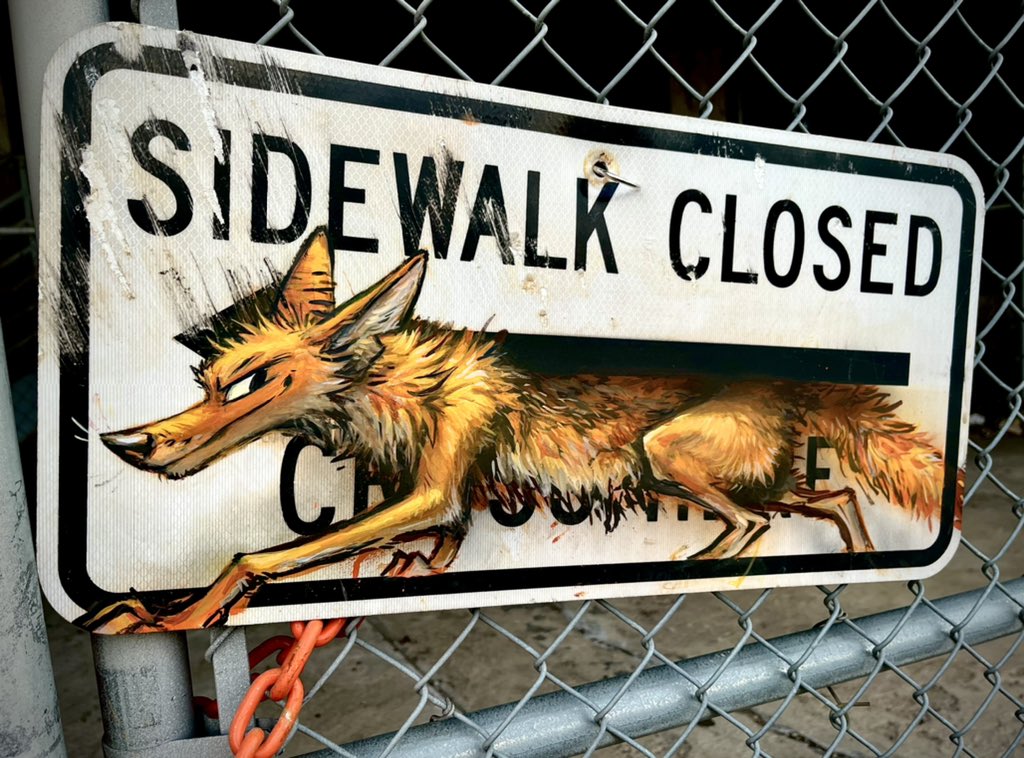 animal art crimes on Twitter "a side what? https//t.co/qsUfzBe0kZ