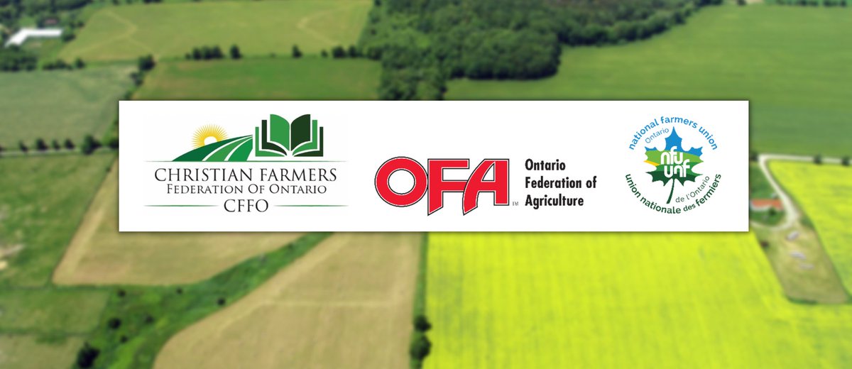 Ontario Federation of Agriculture (@ontariofarms) on Twitter photo General farm organizations pen an open letter to Premier Doug Ford <a href="/fordnation/">Doug Ford</a> addressing shared concerns on #Bill23 and farmland preservation
ofa.on.ca/an-open-letter…
<a href="/CFFOnt/">Christian Farmers Federation of Ontario (CFFO)</a> <a href="/NFUcanada/">National Farmers Union nationale des fermiers</a>
#ontag #onpoli General farm organizations pen an open letter to Premier Doug Ford <a href="/fordnation/">Doug Ford</a> addressing shared concerns on #Bill23 and farmland preservation
ofa.on.ca/an-open-letter…
<a href="/CFFOnt/">Christian Farmers Federation of Ontario (CFFO)</a> <a href="/NFUcanada/">National Farmers Union nationale des fermiers</a>
#ontag #onpoli