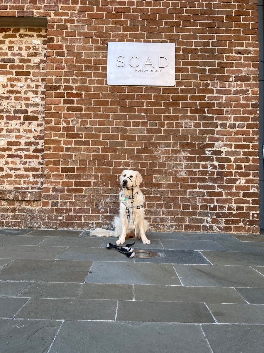 RiverOfNYC's tweet photo. The semi-regular annual photo from SCAD https://t.co/dSWjEOsZcI