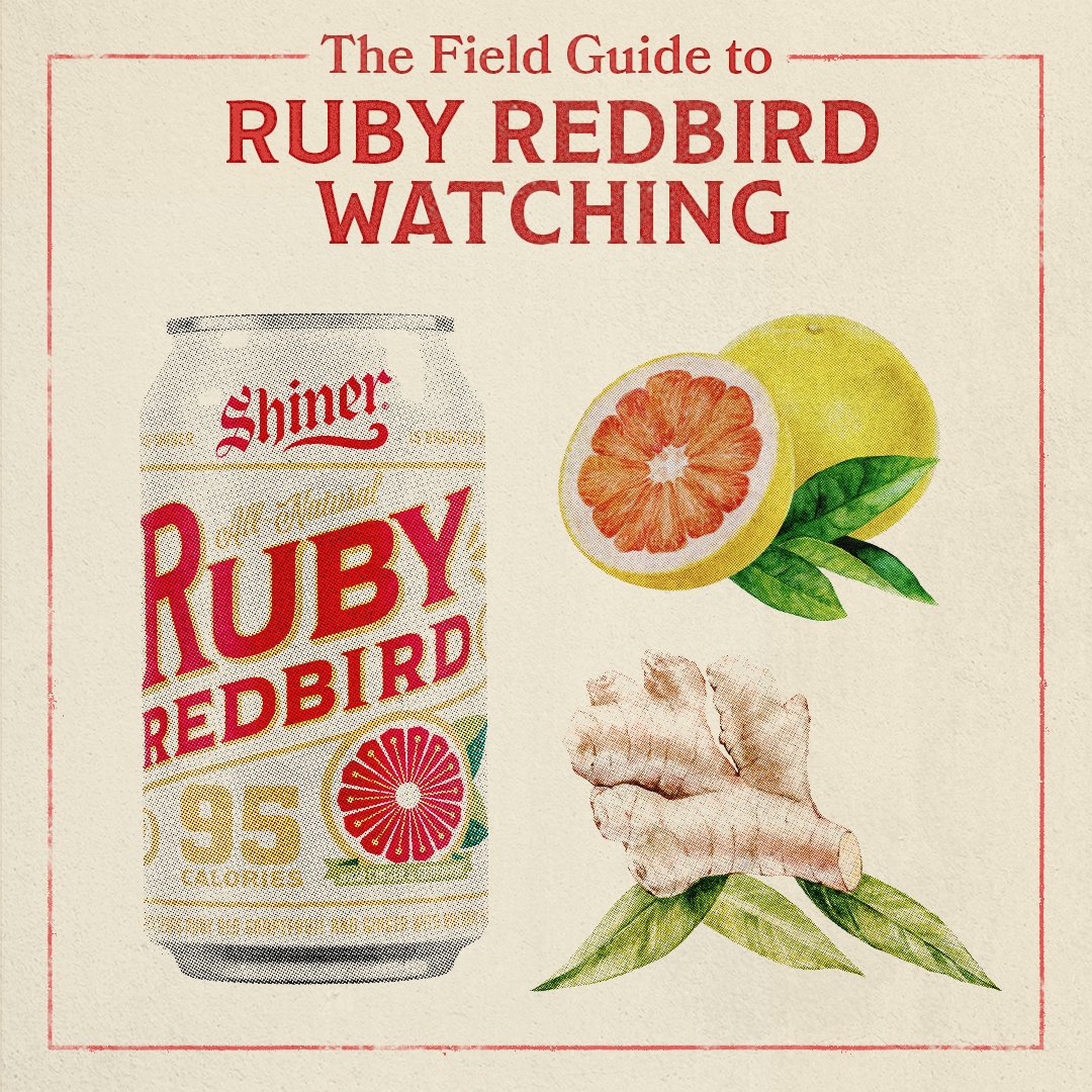ShinerBeer's tweet image. Learn all about the elusive Ruby Redbird with this handy field guide! #ShinerBeer #RubyRedbird