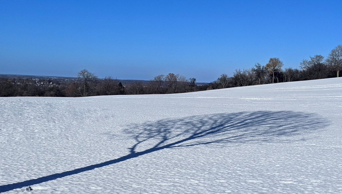 ZehrKeith's tweet photo. Creeping shadow
#photography #Pixel2camera #NaturePhotography #trees #shadow #ThompsonParkNY https://t.co/8vq5D2l5ZP