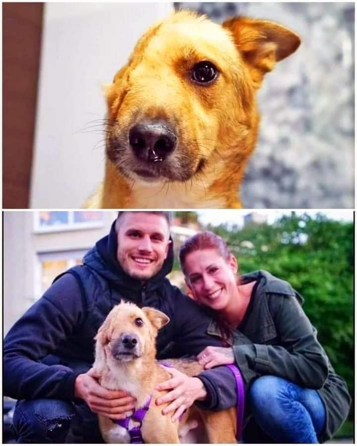 El hombre es capaz de tanta violencia pero también de compasión... Por favor, respetalos 🙏🏻❤️🐶