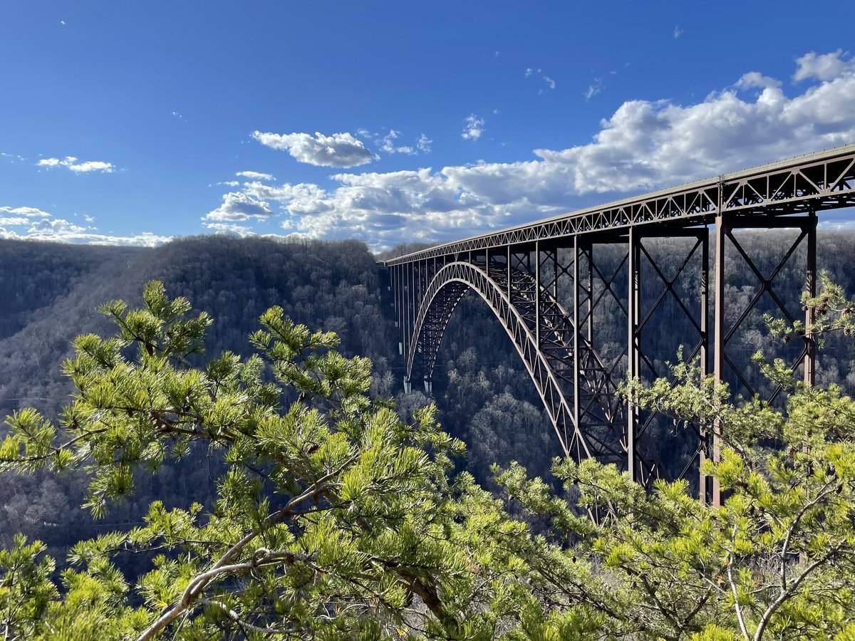 Justin Frye tweet media