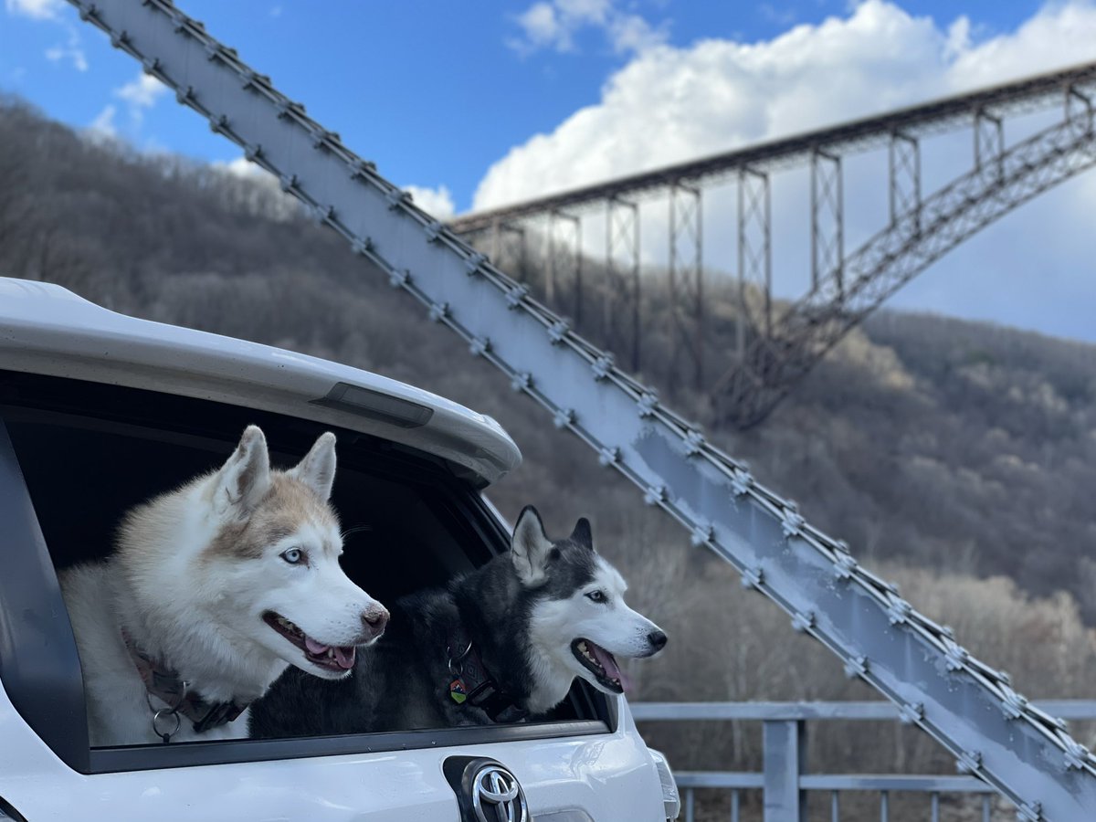 Justin Frye tweet media