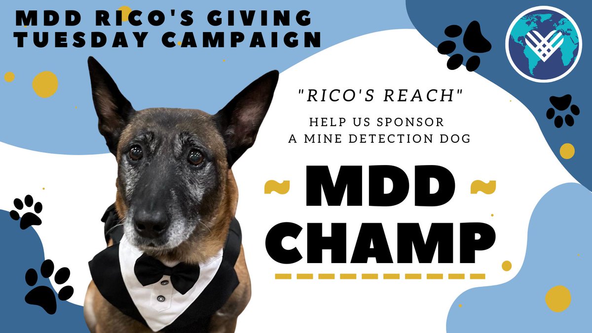 Marshall Legacy Institute tweet media