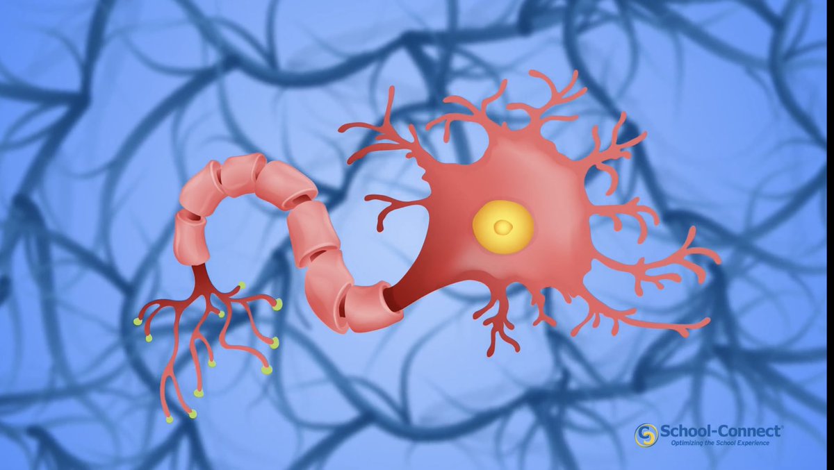Coach_Rudy's tweet photo. Blown away by how fantastic these new brain science videos and lessons came out. They are FREE and truly exSELent!

Proud to be a part of this work. Take a look you will be glad you did.
please share!

#highschool #SEL #education 
@Optimizing_HS 

https://t.co/a3btqfna3Y https://t.co/AeygxUohmj