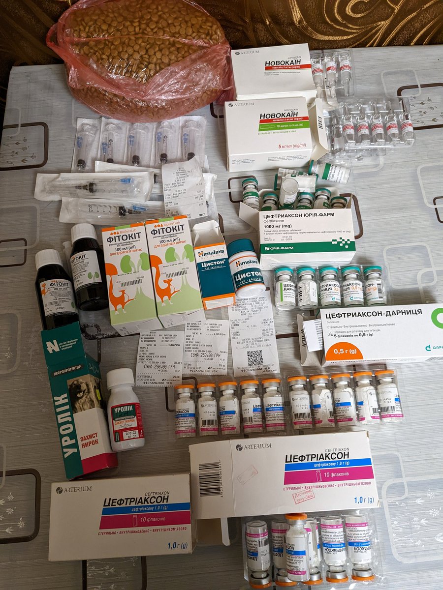 JuliaSolonchuk's tweet photo. Friends, thank you for your support and help. Thanks to you, I bought all the medicines and continue the treatment.
  I hug you 😘 https://t.co/oxwHtuXMfg