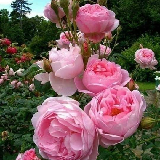 ai_ehhh's tweet photo. #صورة_ملف_شخصي_جديدة https://t.co/7ytcNb31ec