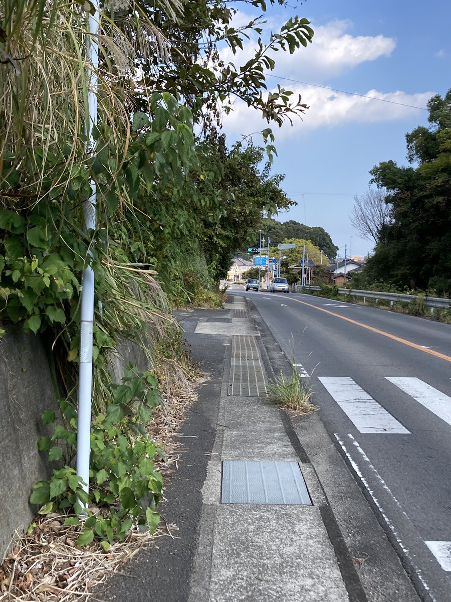doron2010's tweet photo. どう思いますか・・？

子供たちが、土手から飛び出た草を避けながら通学している。

見ていて危ない！

草で歩道も狭くなってる。

その旨学校に報告するも、

「危険性はないと判断しました」と、草一本も除去せず。

ええ、そうかな～？ https://t.co/nXVWc0g6NS