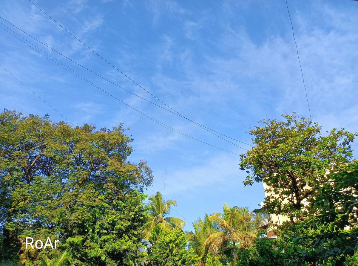 RoarWeather's tweet photo. #Mumbai ..

#Beautiful blue #sky with few high #clouds on a #cool #morning at Mumbai 

#Mumbai Scz.. 17 c
#Pune AP .. 16.6
#Thane.. 14.5
#Virar Manor .. 13  

#weather https://t.co/6dvc7YnNI7