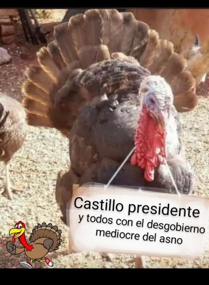 AngelBaldeon11's tweet photo. @ebelinortiz Para todos que? Y ese cuento de siempre de la discriminación por raza cuando hay una la humana,género dos no mil,y religión un caviar no cree en una, ideologia política no hay dudas que vivir en otra realidad afecta pero no hay dudas buscar excusas los zurditos son maestros https://t.co/IxhroQHhES