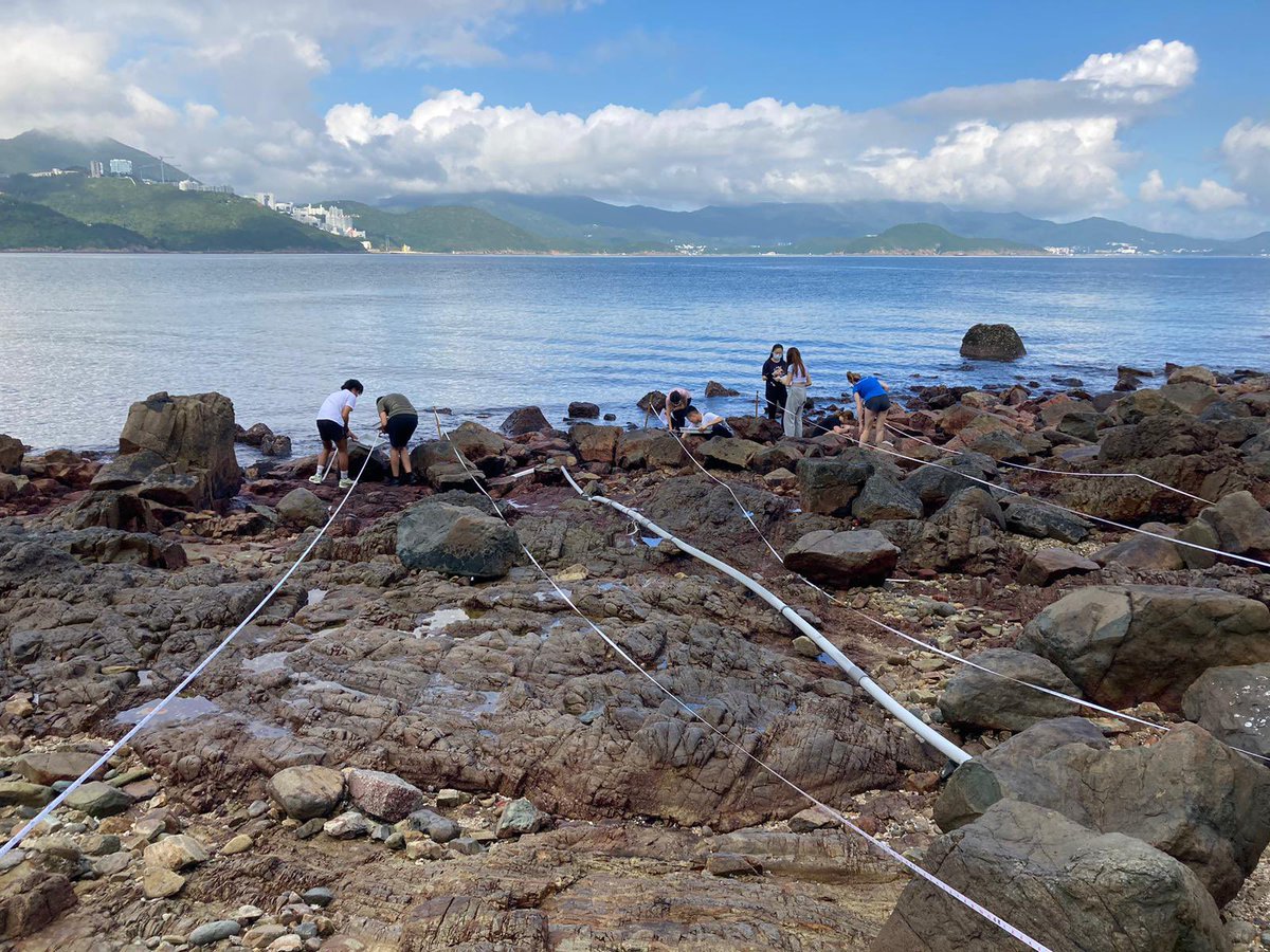 KellettScience's tweet photo. @Kellett_6Form Year 13 estimating snail population sizes at Little Palm Beach, CWB. Practicing sampling techniques and real world ecology! #sampling #transects #quadrats #somanysnails #outdoors #perfectdayforit #estimation #populationsizes #snailsarecool #alevelbiology #ecology https://t.co/56u6Xgiki2