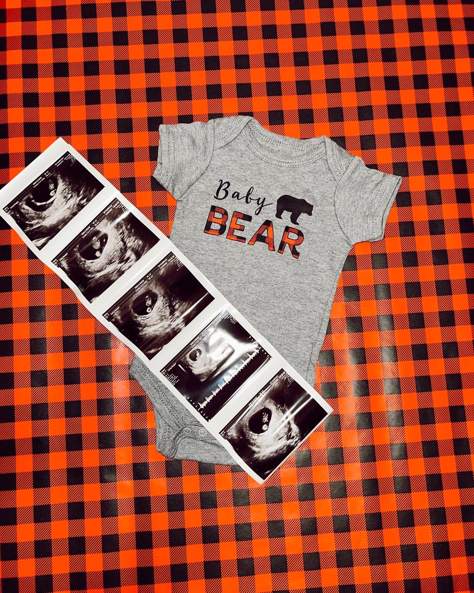 carlylbaugus's tweet photo. baby bear coming out of hibernation summer 2023. ❤️🥹 https://t.co/8ParQa1eRo