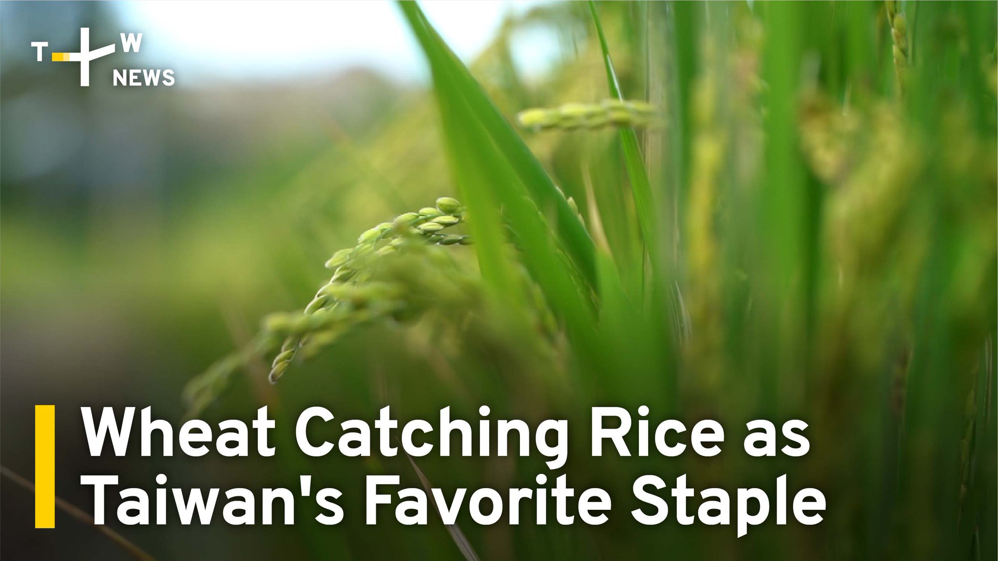 TaiwanPlus on Twitter: 