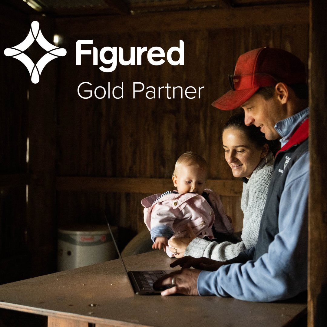 PrincipleFocus tweet media