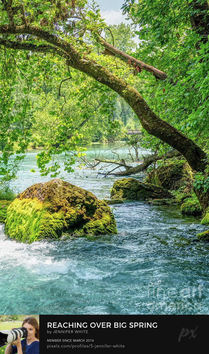 corinne-carroll-on-twitter-rt-tmomphotography-big-spring-in-van