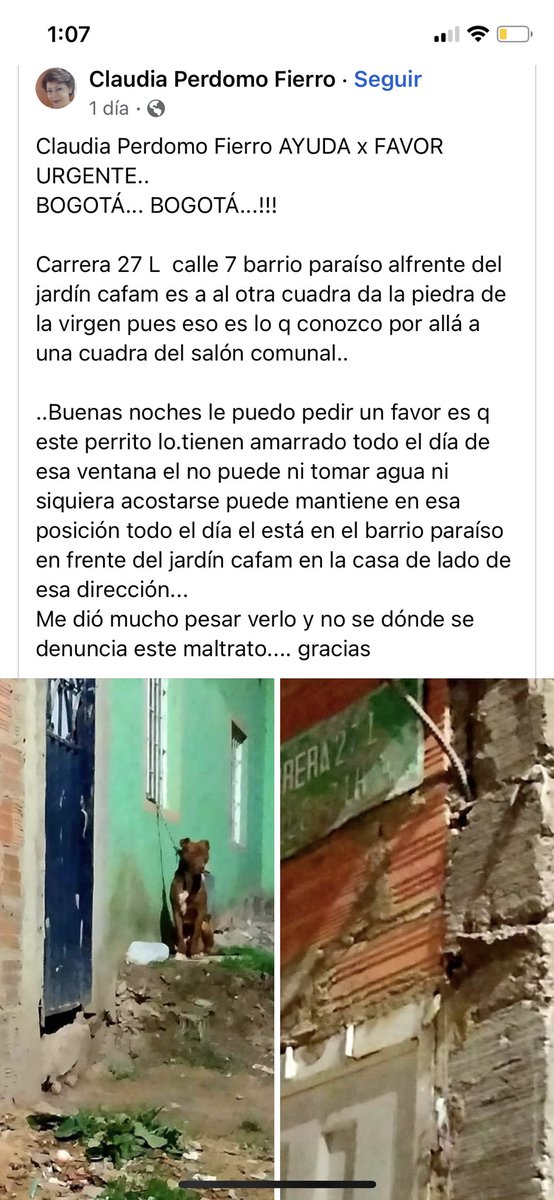 Caso de maltrato animal vive amarrado y sin resguardo ayudar no se ha hecho nada por el 🙏🥺♥️