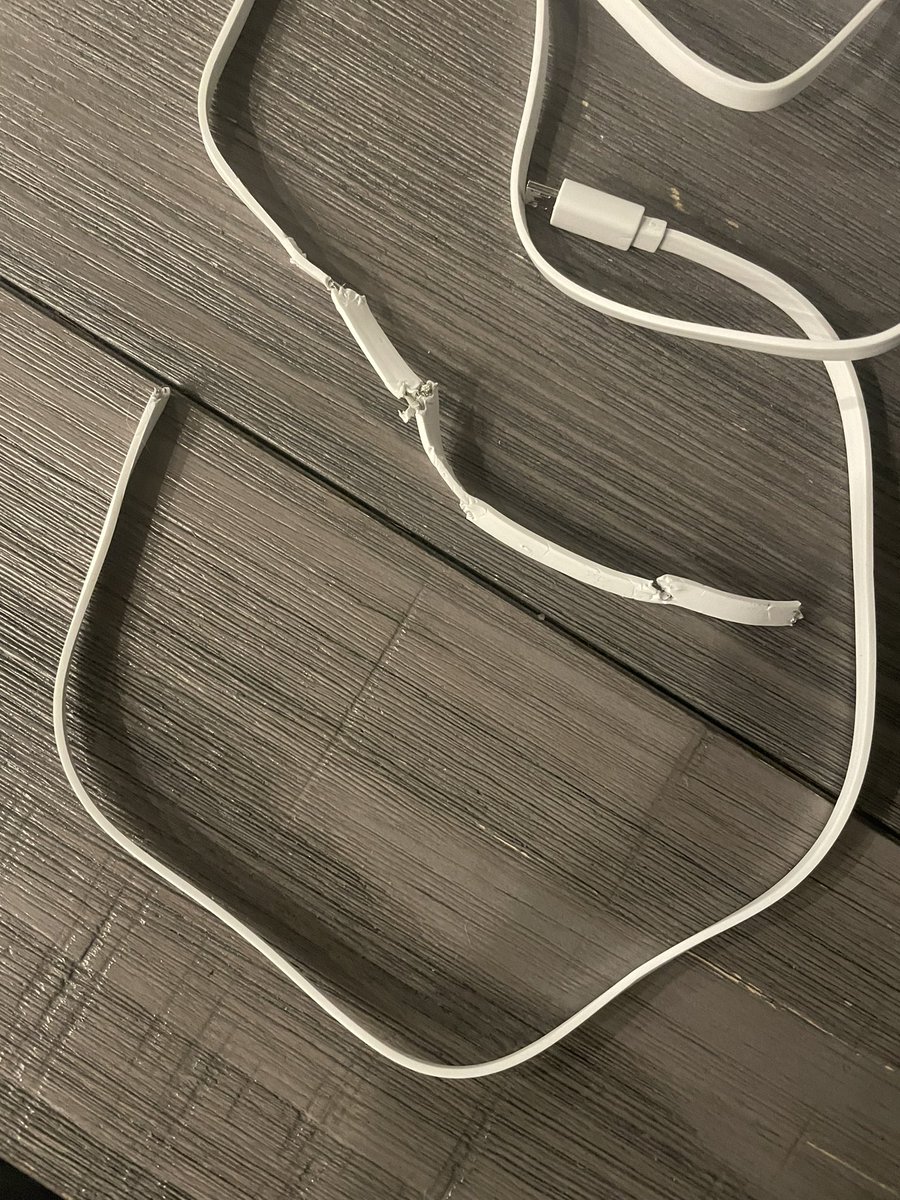 Maple 1-0 Camera Cable #firstOfMany #destructiveDogs