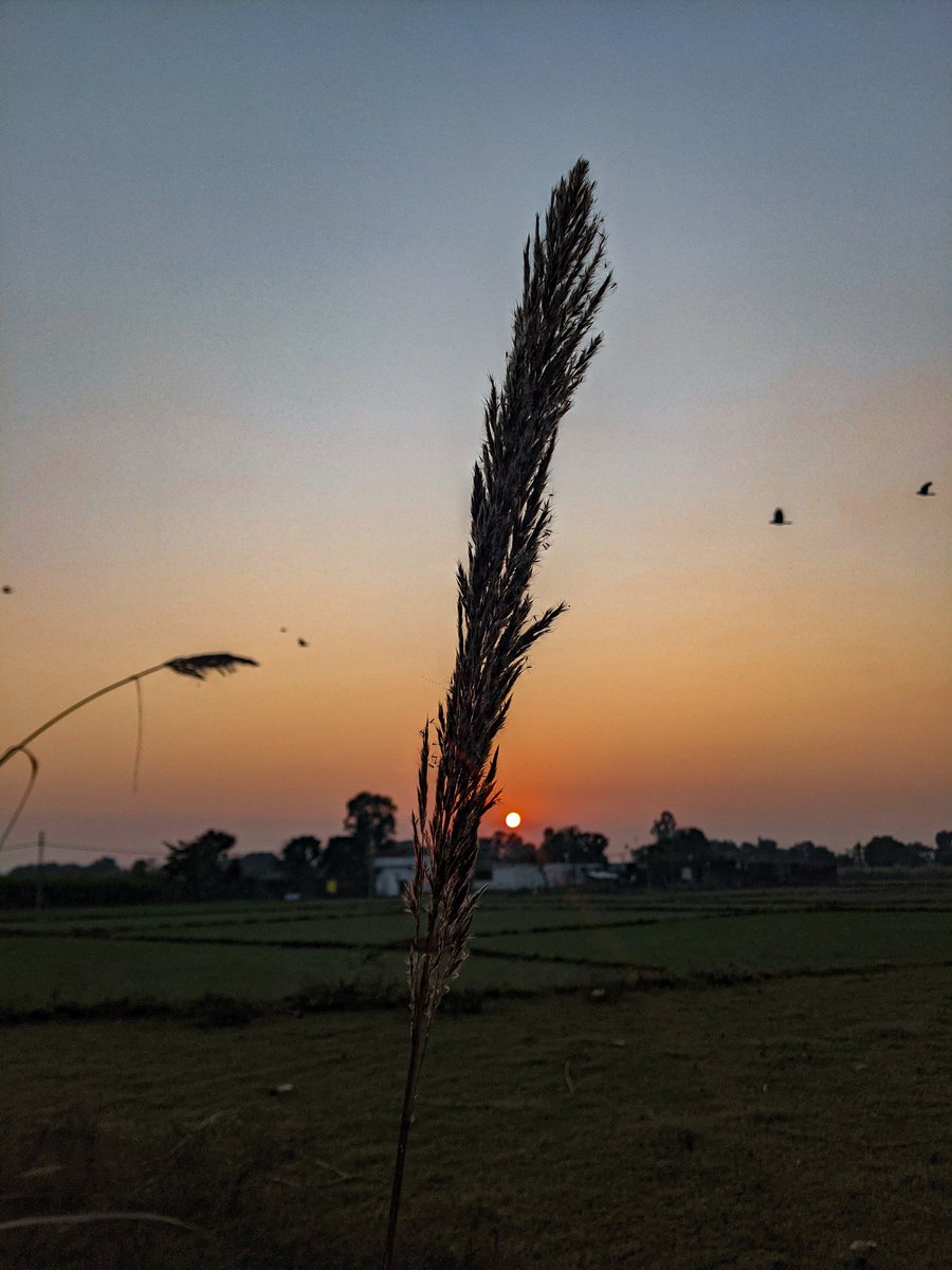 sahil_clicks's tweet photo. ๐๐
#photoofthedays #NaturePhotography #TeamPixel #shutterhub #photooftheday #photographer https://t.co/o5iySyQnUp
