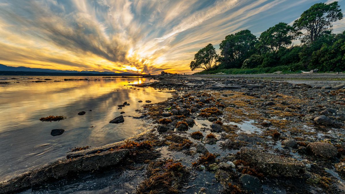 Beautiful sunset on the shore of Hornby Island at low tide.