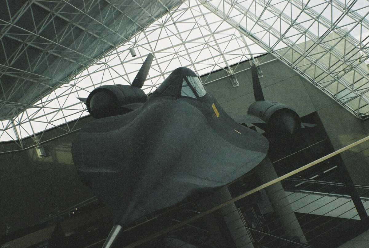 NDolezal's tweet photo. Blackbird singin’ in the dead of night https://t.co/4ximctUX98