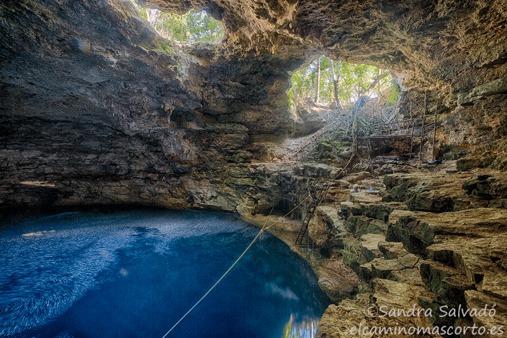 Caminomascorto's tweet photo. Cenote Santa Cruz, Yucatán
👉https://t.co/1bMKSKJoJC
#cenotesyucatan #cenotesmexico #cenotes #cenoteando https://t.co/eFdlYFlCya