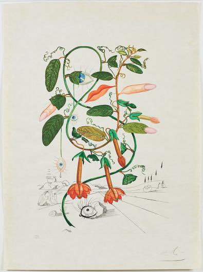 miaforrestphoto's tweet photo. Salvador Dali’s botanical studies, from the late 1960’s

1. Dalí, Pisum sensuale (Cobea), from the FlorDalí series. 1968. Photolithograph and engraving

2. Dalí, Viola cogitans (Self-Portrait Pansy) from the FlorDalí series, 1968. Photolithograph and engraving https://t.co/vWWO1h2io9