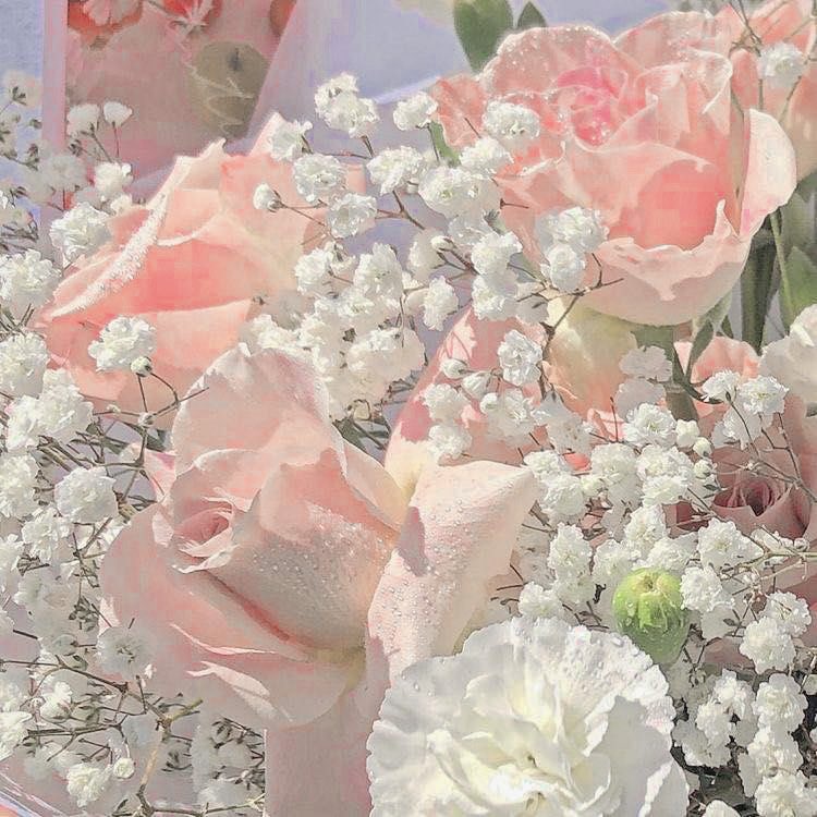 🩰 : Good morning Tuesday! wishing u a blooming great day! ఇ.  ̫ .ఇ

     อรุณสวัสดิ์เช้าวันอังคารค่ะ เซก็ขอให้วันนี้เป็นวันที่น่ารักของทุกคน ได้เจอแต่คนน่ารักๆ ไม่มีฝนตกในใจ เหนื่อยน้อยๆแต่ยิ้มเยอะๆ และไม่เจ็บไม่ป่วยนะ~ แล้วอย่าลืมทานข้าวให้ครบทุกมื้อ ดื่มน้ำเยอะๆกันด้วยนะคะ🫶🏻