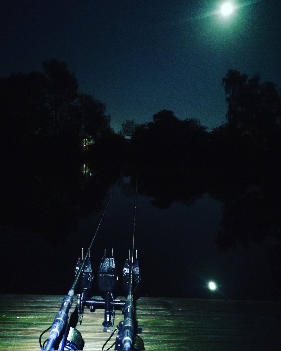 82_ridge's tweet photo. Them night time shots #dnabaits #xspod #wolfint #wolf_int #carpfishing #carpy #doublebashing #dayticketcarpfishing #liquids #hobby #castawaypva #incredibletackle https://t.co/9L1VrNgn9N