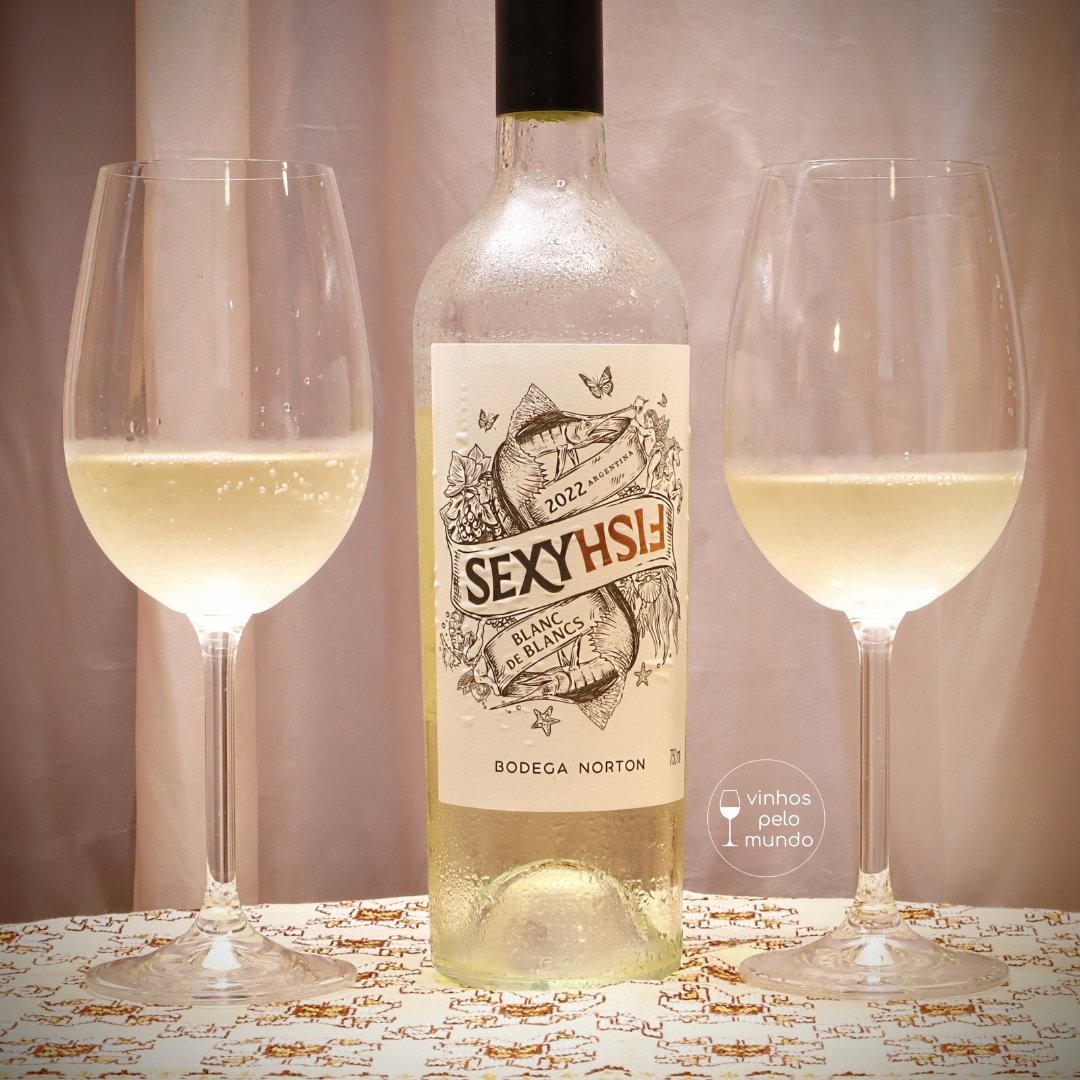 vinhospelomundo's tweet photo. Norton Sexy Fish Blanc de Blancs 2022 produzido pela @bodeganorton na Argentina.🥂🇦🇷
Vem chegando o verão☀️🎶
O calor no coração❤️🎵
Essa magia✨ 🎶colorida
Coisas da vida🎵...

Bom para acompanhar com um branquinho na temperatura certa e refrescar o calor.
@casafloraimportadora https://t.co/zmssbcCNUd