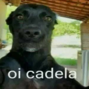 EU I ELE MONTANDO A FESTA DE UM ANO DA NOSSA FILHA, SEGUE A THREAD;