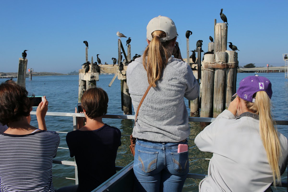 Girls Who Click tweet media