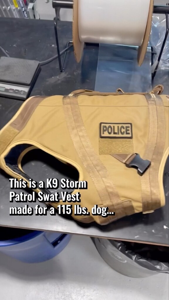 Light is right. Full protection with no comprises needed - even for a 115 lbs. giant. 🐺👊💥 #StormThroughAnything ⚙️ K9 Storm Patrol Swat Vest donated by @k9sofvalor #k9storminc #patrolswatvest #dogbodyarmor #workingdog #k9unit #k9storm instagr.am/reel/ClhedTdJB…
