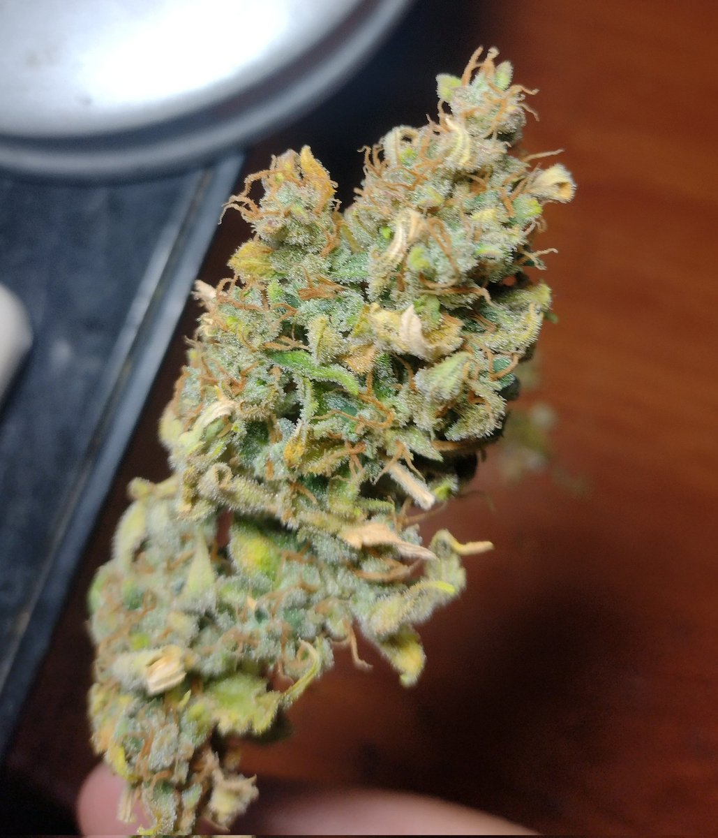 A punto caramelo 🔥