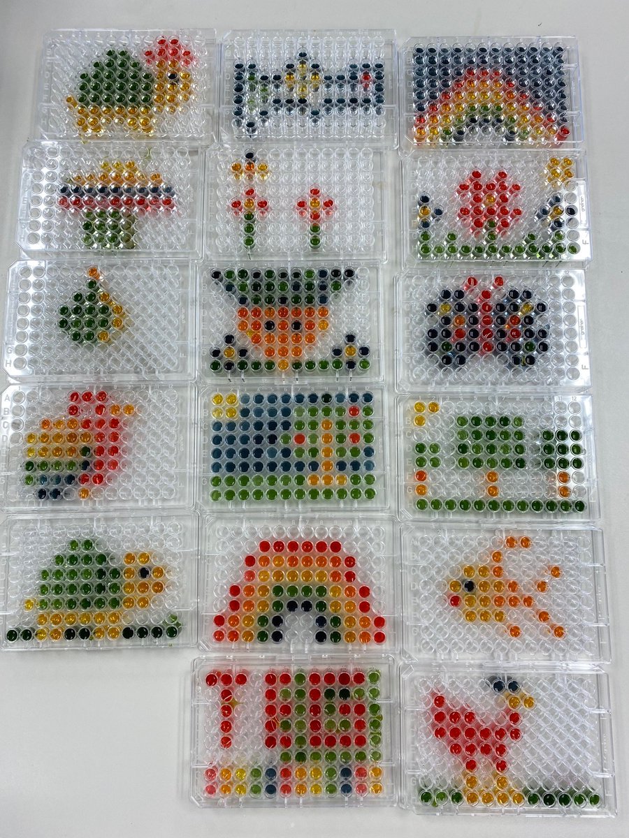 Massey Neurogenetics Lab tweet media