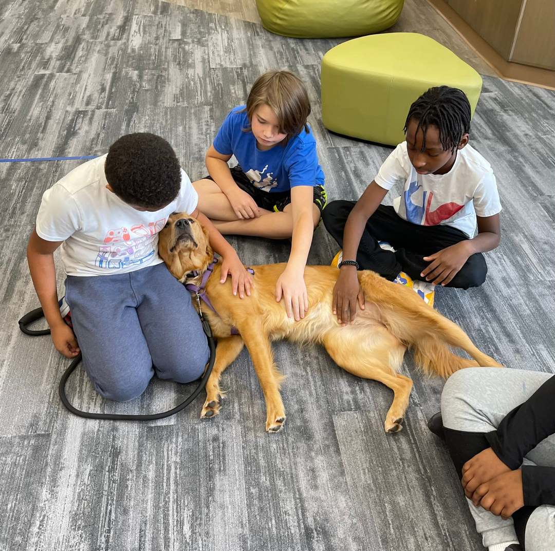 Sweet #therapydog Barley is a total Monday Mood! 😴 We hope everyone had a relaxing break, we can't wait to see all the kids and dogs back in school!