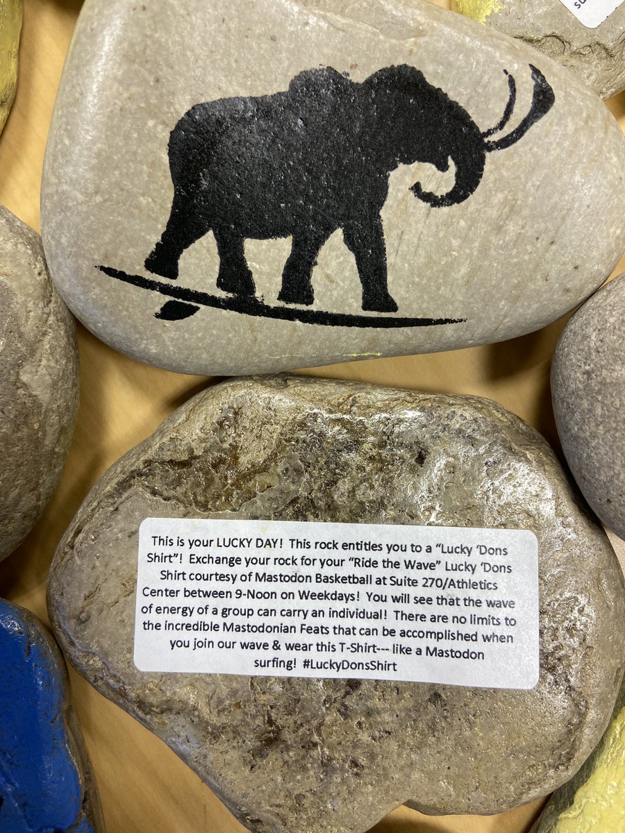 coachcoffman's tweet photo. Need some good luck 🍀 today? Find a @MastodonMBB #RideTheWave rock on campus &amp; you can exchange it for a #LuckyDonsShirt at Mens Basketball Suite 270 in Athletics Center! There are no limits to Mastodonian Feats that can be accomplished when you join our wave &amp; wear👇shirt! https://t.co/DgQHvt4k48