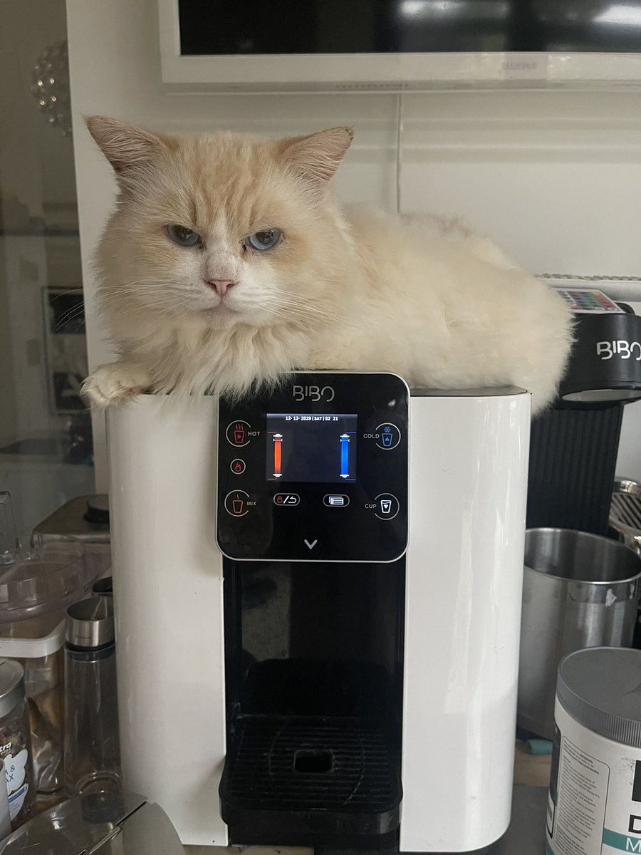 <a href="/Bibowater/">BIBO Water</a> My kids and I, we love our Bibo….So do the rest of our family……we appear to take it in turns to use the Bibo lol……