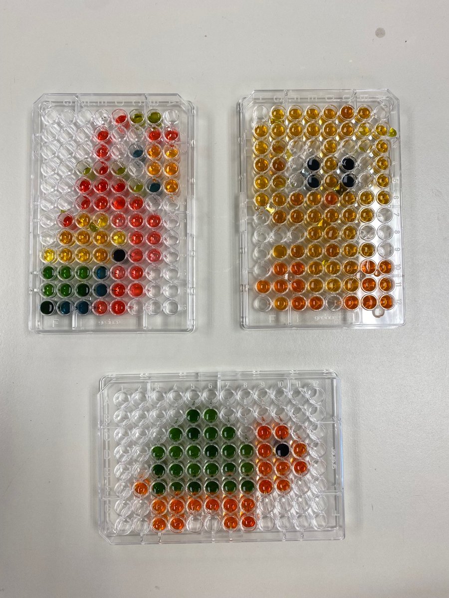 Massey Neurogenetics Lab tweet media