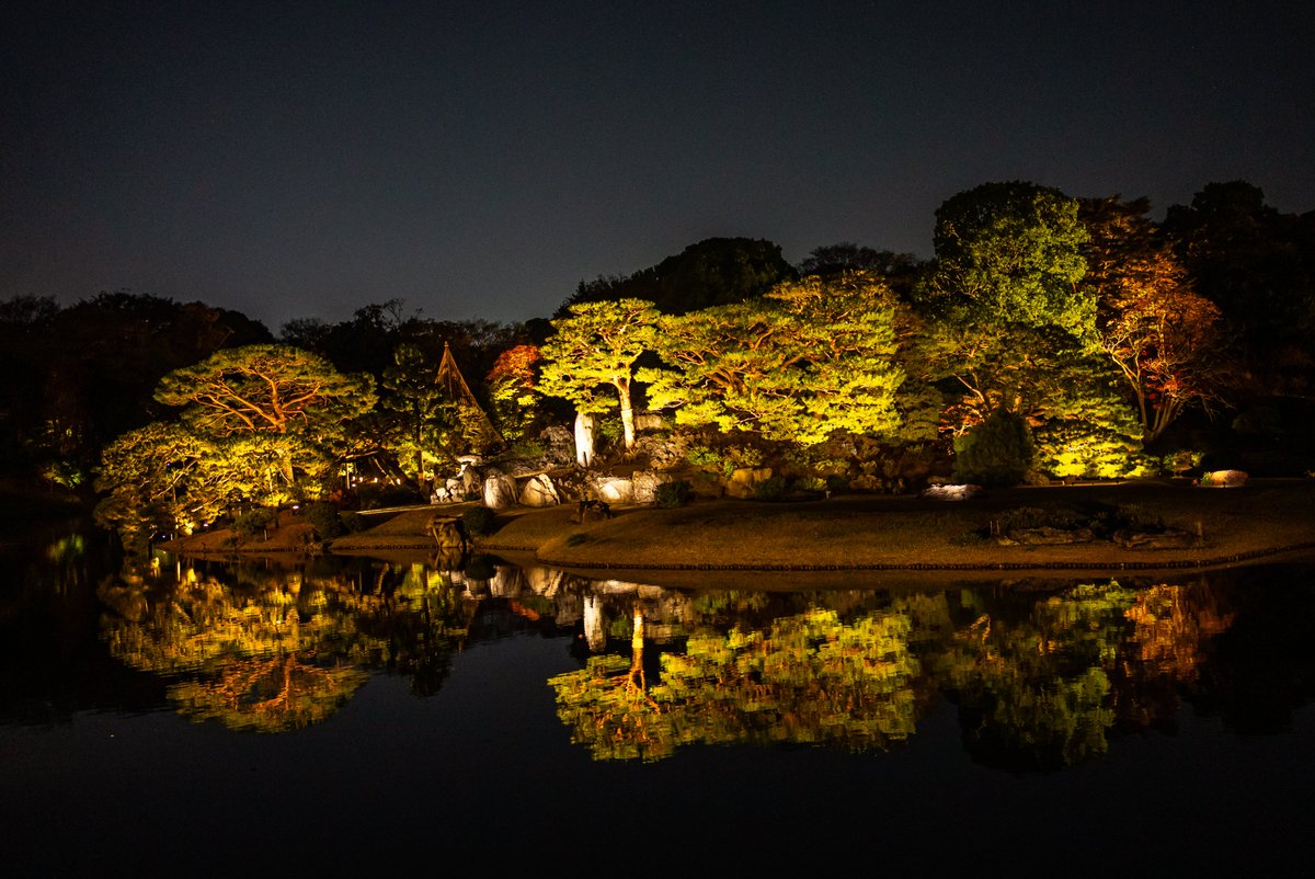 ykyk1218_camera's tweet photo. 六義園

#写真好きな人と繫がりたい https://t.co/9347bIj78a