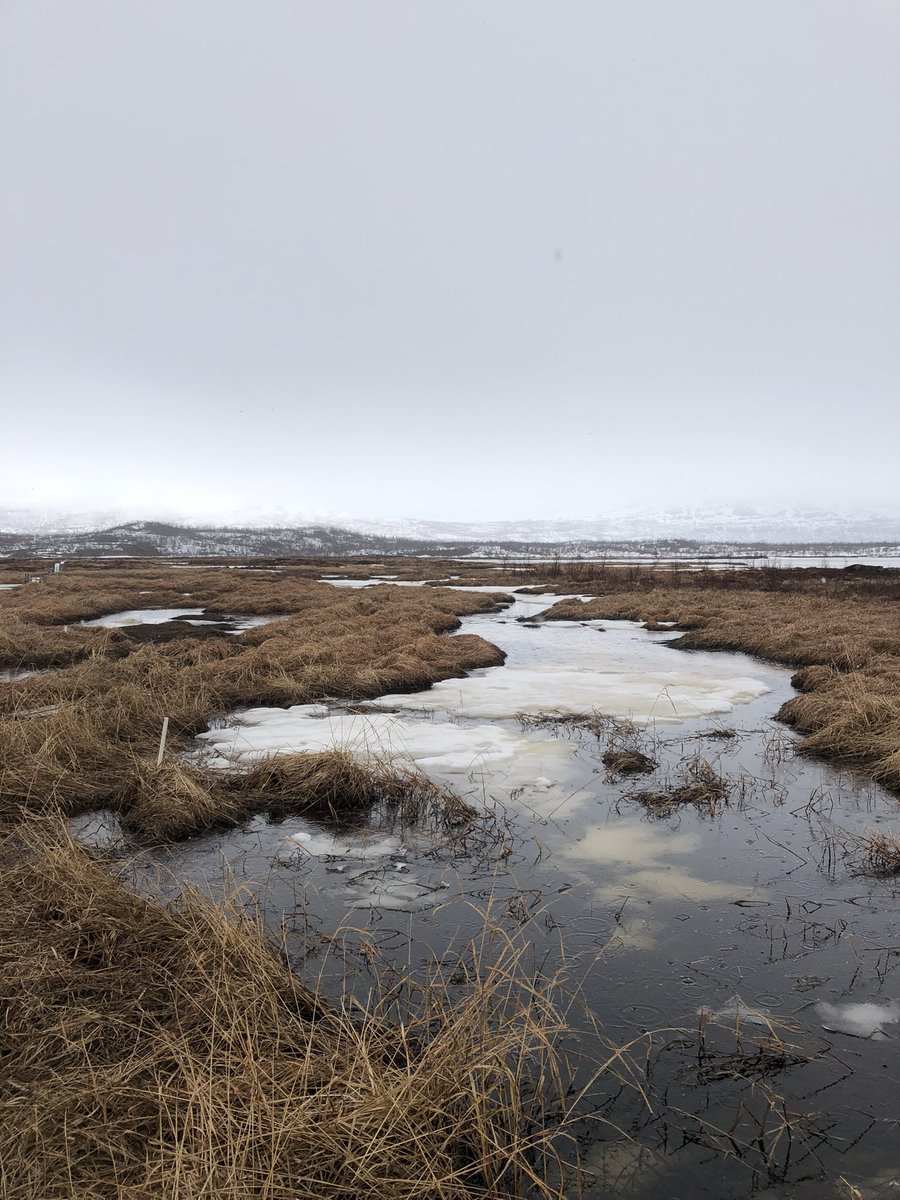 Cherry Jones (@cheristyjones) on Twitter photo My entry to <a href="/AGU_WQ/">AGU Water Quality</a> #HaikuYourResearch!
Land to freshwater
Capture the bubbles below
Where does methane go My entry to <a href="/AGU_WQ/">AGU Water Quality</a> #HaikuYourResearch!
Land to freshwater
Capture the bubbles below
Where does methane go