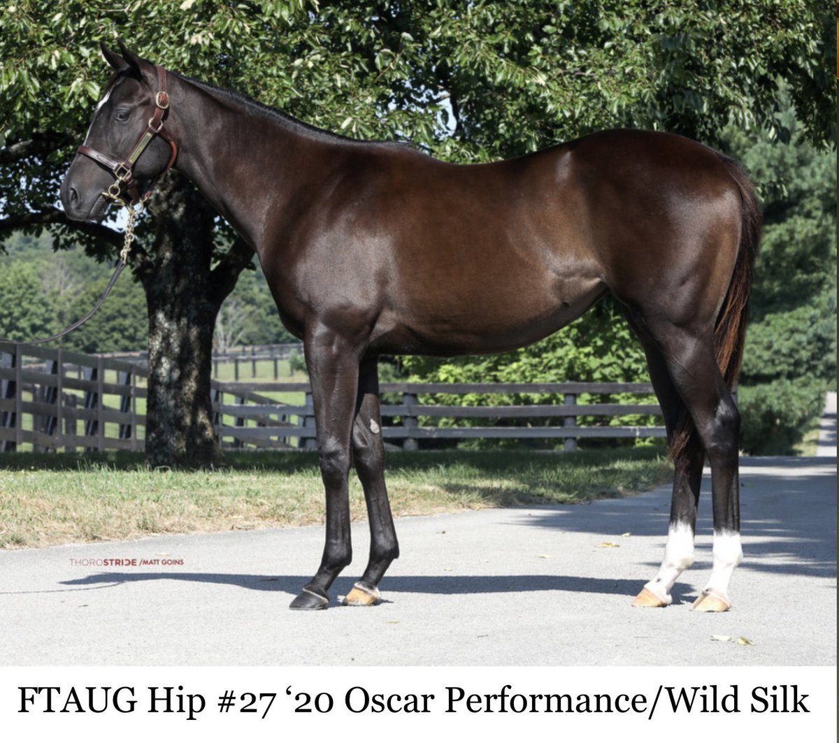 Glenn (Bo) Bromagen tweet media